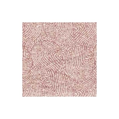 Taie Rectangle 60x40